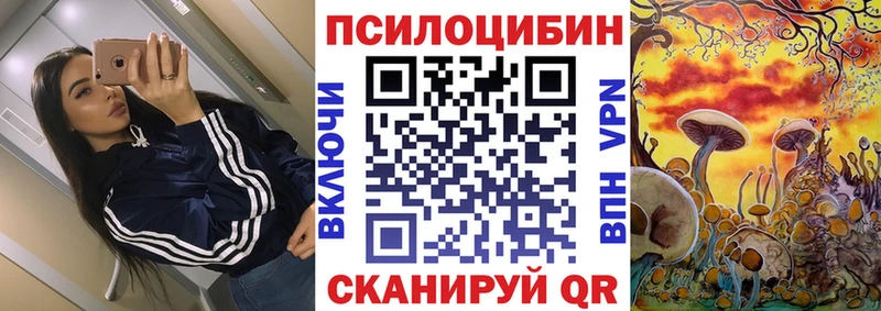 сколько стоит  Харовск  Галлюциногенные грибы прущие грибы 